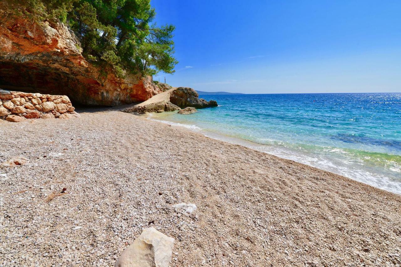 Apartman Petarcica